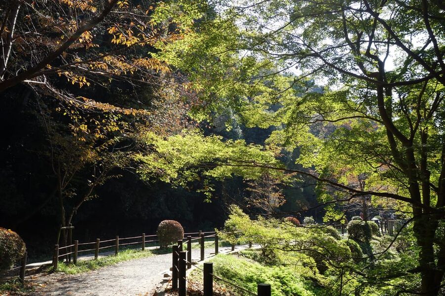 Best of Kyoto: Ginkakuji & Path of Philosophy E-Bike Tour - Key highlights at a glance