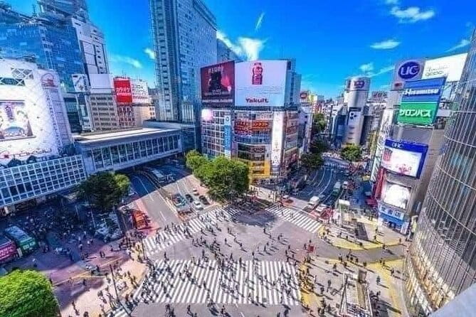 Best of Tokyo Private Tour English Driver &Customizable Itinerary - Key things to know before you go