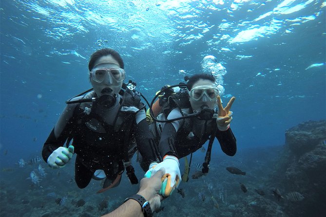 Blue Cave Area Experience Diving!Free feeding & photo images Chinese guide available!1 group with a dedicated instructor - Key things that make this scuba intro worth your time