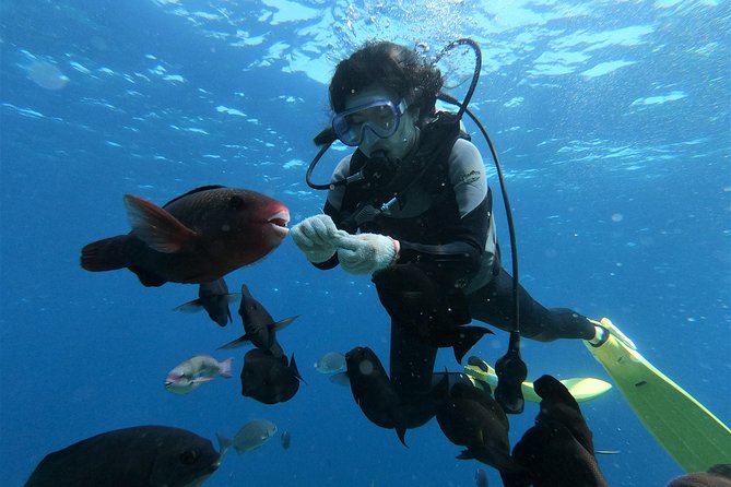 Blue Cave Area Experience Diving!Free feeding & photo images Chinese guide available!1 group with a dedicated instructor - Fish feeding and the photo moments that make it memorable