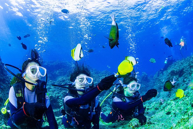 Blue Cave Introductory Dive-Private Guide, Boat Tour&Free Photos - From Onna-son to the water: why this feels easy from the start