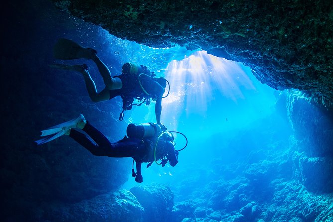 Blue Cave Introductory Dive-Private Guide, Boat Tour&Free Photos - The shop experience: clean gear, hot showers, and practical comfort