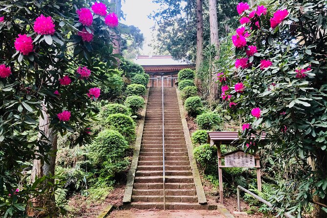 Buddha, Bamboo & Zen - Bespoke Kamakura Private Walking Tours - Getting out of Tokyo for a Zen and samurai kind of day