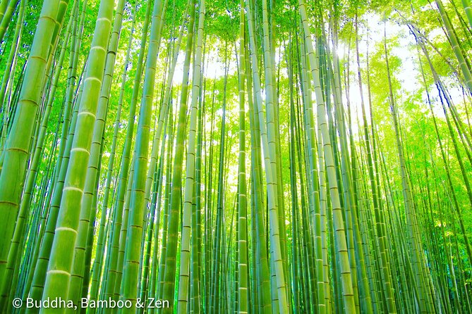 Buddha, Bamboo & Zen - Bespoke Kamakura Private Walking Tours - Kotoku-in and the Great Buddha: the bronze statue that anchors the day