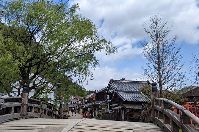 Chartered Private Tour - Tokyo to Nikko, Toshogu, Edo Wonderland - How the Tokyo to Nikko private car day really feels