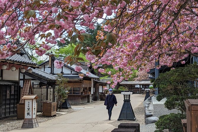 Chartered Private Tour - Tokyo to Nikko, Toshogu, Edo Wonderland - Toshogu Shrine and the Tokugawa mausoleum stops