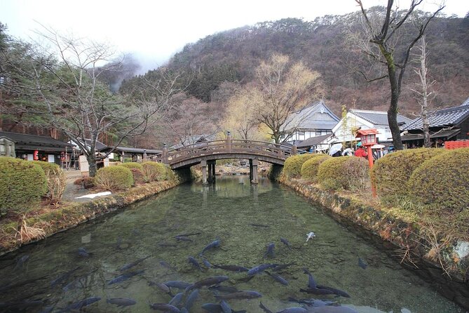 Chartered Private Tour - Tokyo to Nikko, Toshogu, Edo Wonderland - Ropeway views, Kegon Falls, and Lake Chuzenji in one nature arc