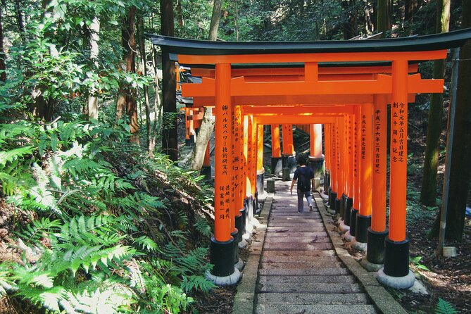 Crowd-Free Kyoto: Fushimi Inari, Nijo Castle & Kinkaku-ji - Stop 2: Nijo Castle and the Tokugawa-Era Power You Can See