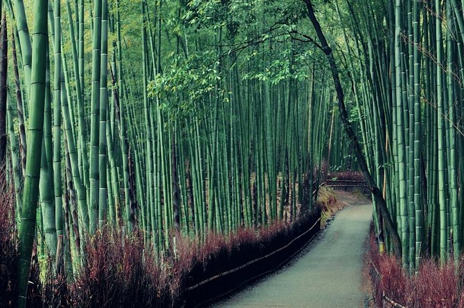 Cruise Stop-Over: Private Custom Day trip to Kyoto from Kobe Port - Host-led planning: questionnaire to a Kyoto day that fits your pace