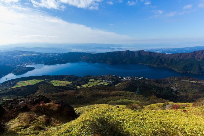 Custom Private Tour in Hakone with a Certified Local Guide - Stop 5: Hakone Shrine and Kuzuryu Shrine, the torii gate over water