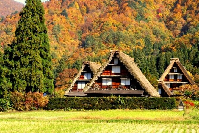 Day Trip for Shirakawago ,Takayama & gujo hachiman from Nagoya - Why this Nagoya day trip makes sense for old-town fans