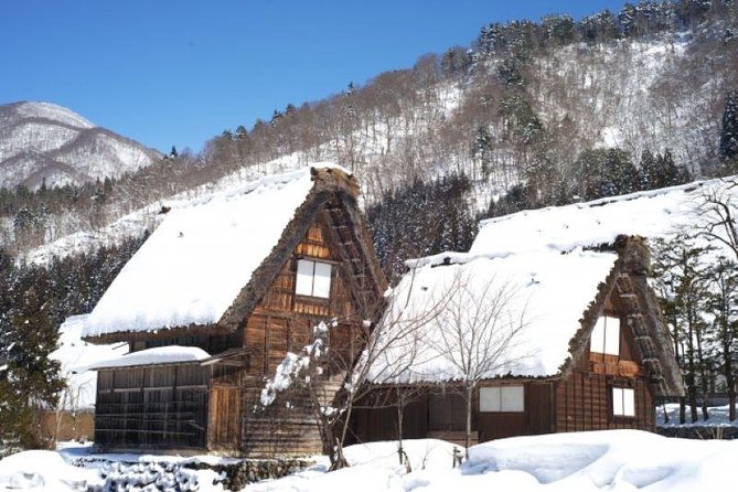 Day Trip for Shirakawago ,Takayama & gujo hachiman from Nagoya - Takayama: historic streets plus your own food plan in 2 hours