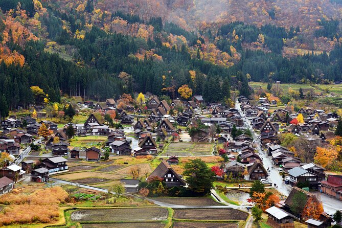 Day Trip for Shirakawago ,Takayama & gujo hachiman from Nagoya - The bus ride, guide style, and why announcements matter