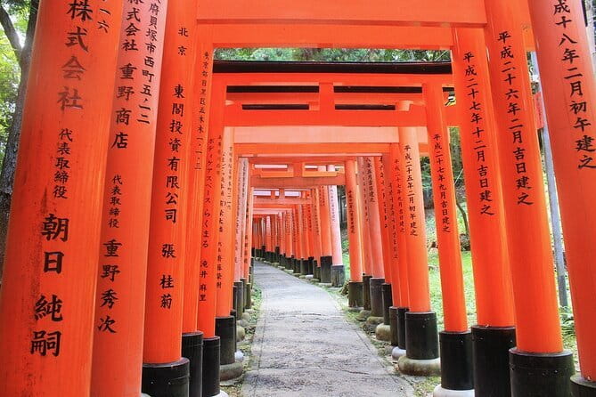 Discover Himeji, Kobe and Nara from Osaka - Transportation, group size, and staying calm across three cities