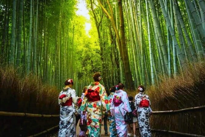 Discover Himeji, Kobe and Nara from Osaka - What you’ll pay for: value of $91 per person with clear extras