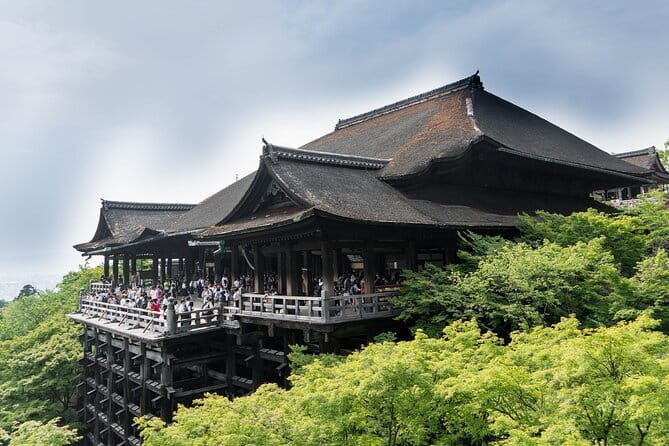 Discover Himeji, Kobe and Nara from Osaka - Starting point in Umeda: the quickest way to get out of Osaka stress