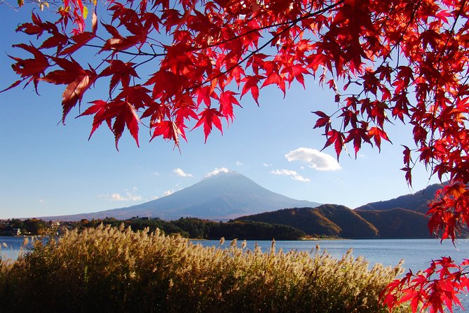 Discover Mt. Fuji 5th Station & Kawaguchiko Sightseeing Day Tour - Mt. Fuji 5th Station: Where the View Changes Everything