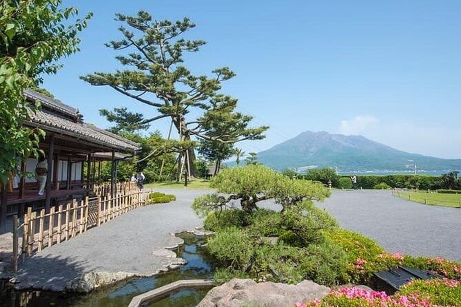 Discover the Wonders of Sakurajima Half Day Tour in Kagoshima - My take: is this tour worth it for Kagoshima visitors?