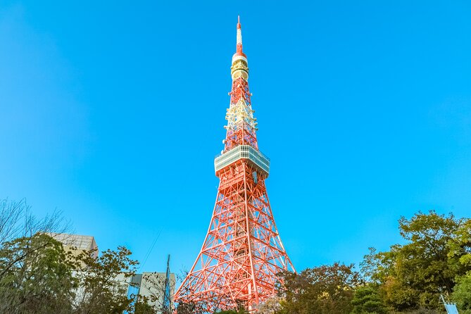 Discover Tokyo, Private Customized Tour with Expert Guides - Timing, walking, and what to pack for a 4 to 8 hour day