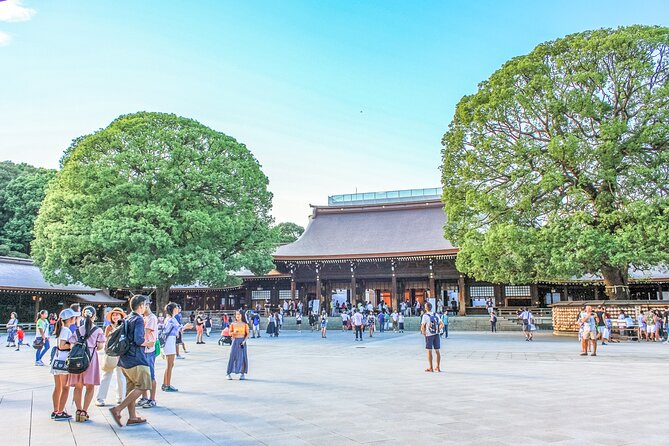 Discover Tokyo, Private Customized Tour with Expert Guides - Price and value, what $99.10 buys you in Tokyo terms