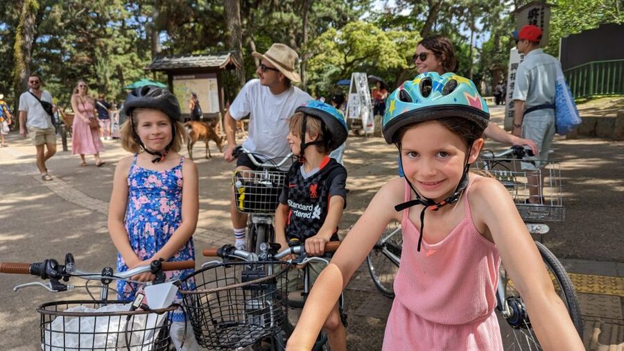 E-Bike Nara Highlights - Todaiji, Knives, Deer, Shrine - Riding Nara Park faster, without losing the atmosphere