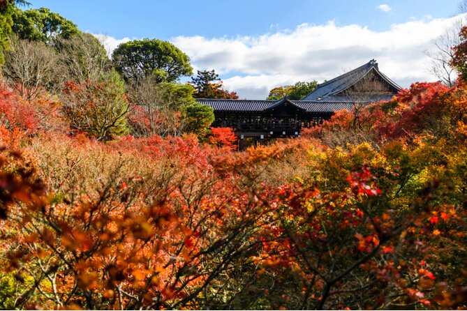 Early Bird E-biking through East Kyoto - Nanzen-ji and Heian Shrine: temple grounds at a walkable pace