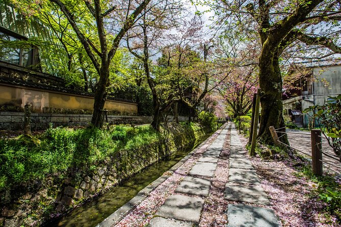 Early Bird E-biking through East Kyoto - Price and value: does $138.74 make sense for a full 6 to 7 hours?