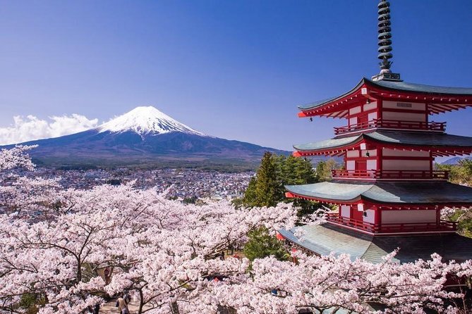Enjoy Mt. Fuji View and free time shopping at Gotemba Outlets! - Key Things to Know Before You Go