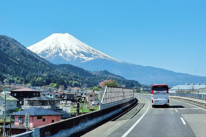Enjoy Mt. Fuji View and free time shopping at Gotemba Outlets! - Meet in Shinjuku, Then Relax on the Ride Out