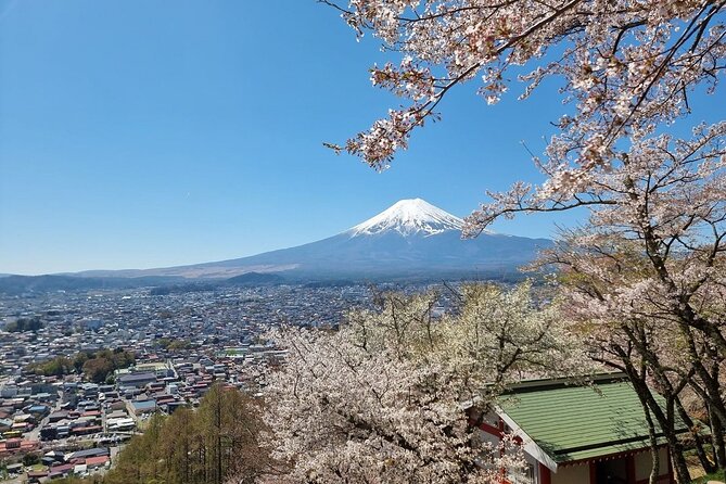Enjoy Mt. Fuji View and free time shopping at Gotemba Outlets! - Oishi Park on Lake Kawaguchi for Fuji Photos and Soft-Cream Breaks