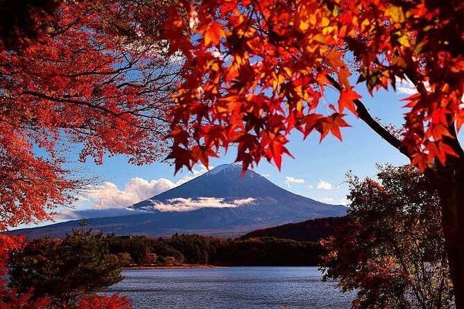 Enjoy Mt. Fuji View and free time shopping at Gotemba Outlets! - Gotemba Premium Outlets: Discounts, a Coupon Gift, and Real Time