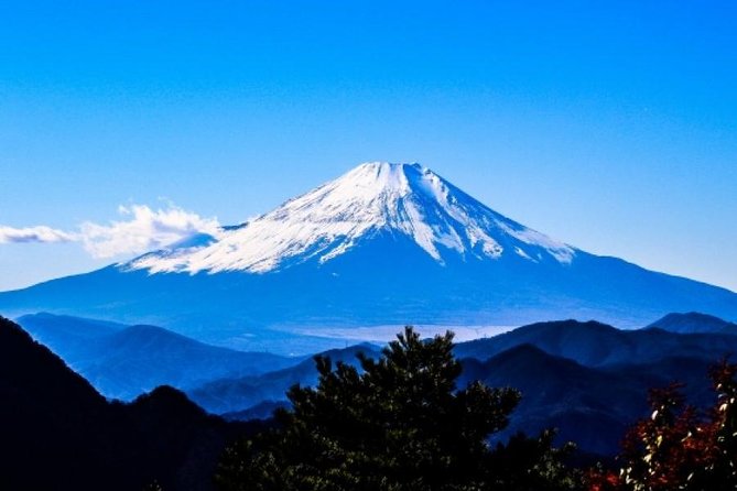Enjoy Mt. Fuji View and free time shopping at Gotemba Outlets! - Arakura Fuji Sengen Shrine and Those 300+ Steps