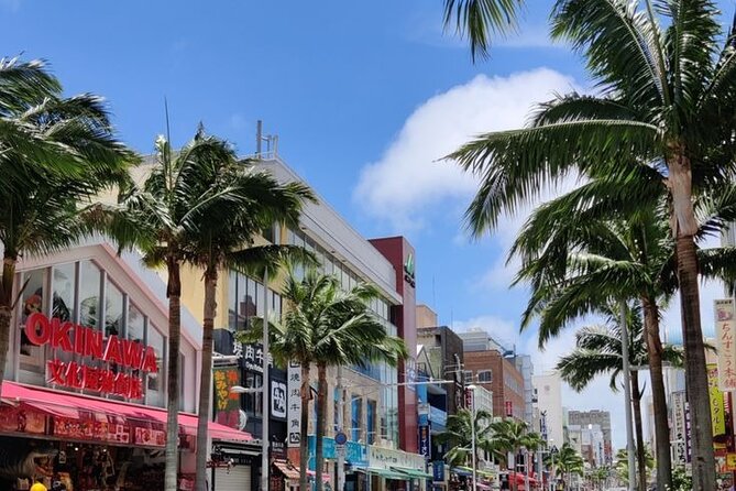 Exclusive Private Full Day Okinawa Island Tour with a Local Guide - Key highlights you will feel on the day