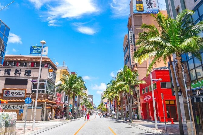 Exclusive Private Full Day Okinawa Island Tour with a Local Guide - A private Okinawa day built around UNESCO stops and the streets of Naha