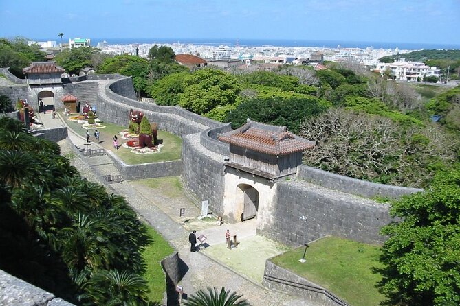 Exclusive Private Full Day Okinawa Island Tour with a Local Guide - Kokusai Dori time: shopping, snacks, and local pointers that save energy
