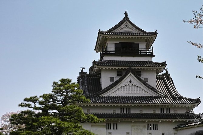 Experience the energy of Kochi: Sunday Market Tour includes Kochi Castle - Key highlights you will actually feel