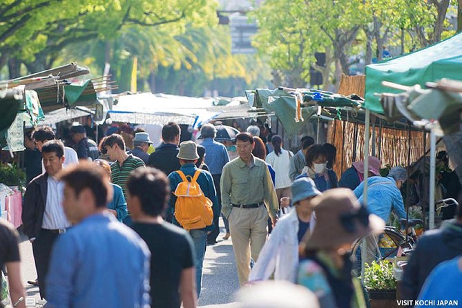Experience the energy of Kochi: Sunday Market Tour includes Kochi Castle - Hirome Ichiba: the indoor food hall where katsuo no tataki makes sense