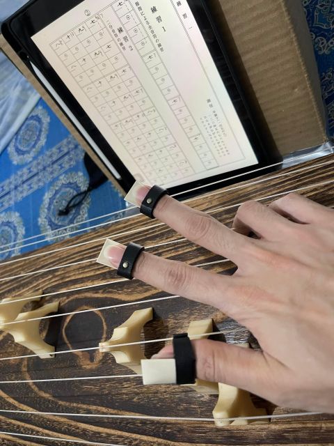Experience the Soul of Hiroshima: A Peaceful Koto Workshop - What you learn in 90 minutes: posture, technique, and Echo of Serenity