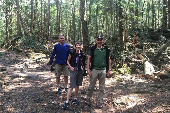 Experience the Stunning Nature of Mt.Fuji - Private Tour - Key highlights you will feel fast