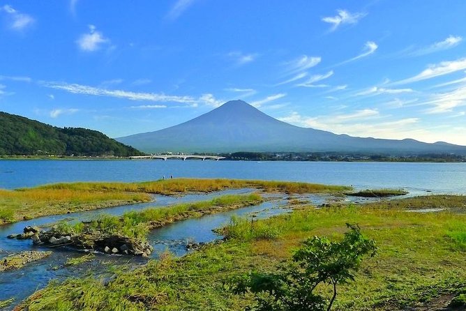 Experience the Stunning Nature of Mt.Fuji - Private Tour - Lake Saiko: quiet water, quick reset