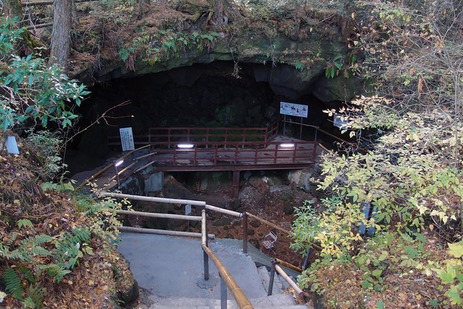 Experience the Stunning Nature of Mt.Fuji - Private Tour - Iyashi no Sato, a recreated village with a real timeline
