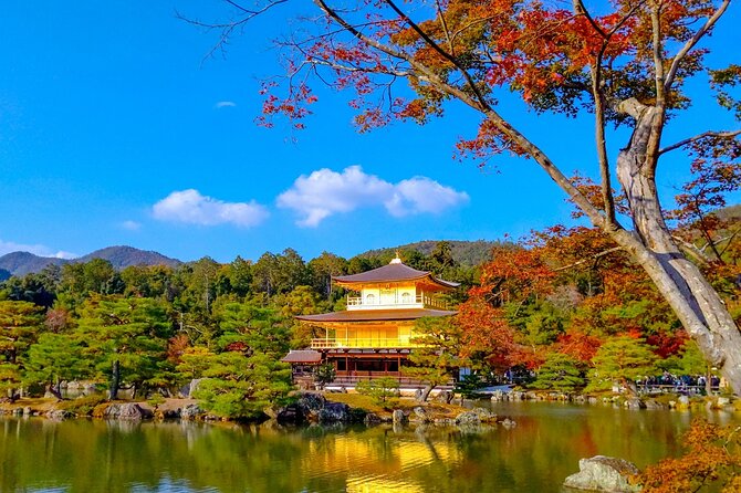 Explore Kyoto | Private Tour - Local English Driver(guide option) - Kinkaku-ji Golden Pavilion: stunning, but plan for entry fees