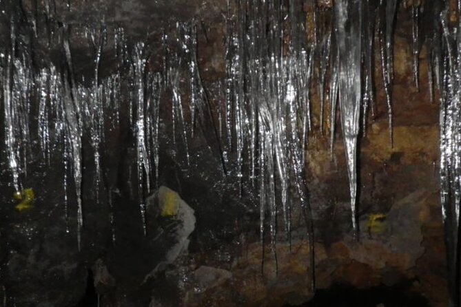 Exploring Mt Fuji Ice Cave and Sea of Trees Forest - Key highlights to pay attention to