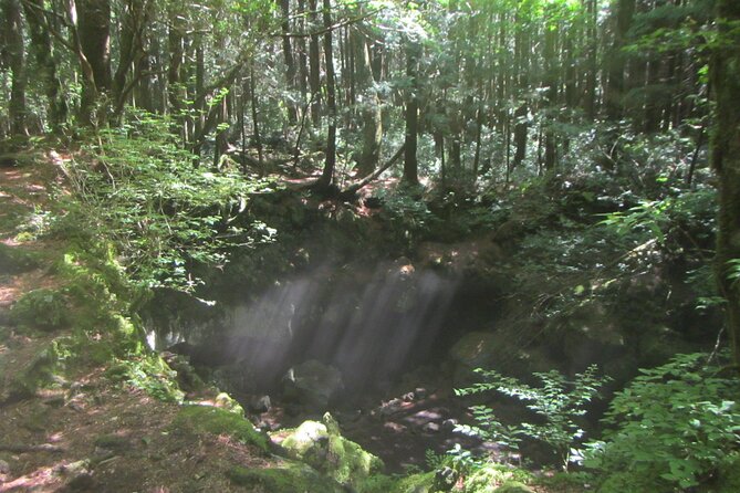 Exploring Mt Fuji Ice Cave and Sea of Trees Forest - Getting to the meeting point near Mt. Fuji without turning it into a whole project