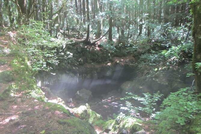Exploring Mt Fuji Ice Cave and Sea of Trees Forest - The ice cave part: rare lava-cave ice and what to expect inside