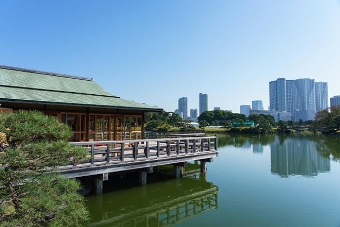 Freely set up plans Guided Private Tours in Tokyo - Stop-by-stop Tokyo, from Tsukiji snacks to shrine calm