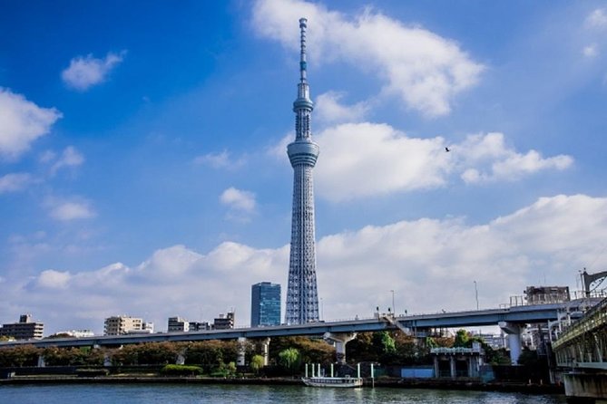 Freely set up plans Guided Private Tours in Tokyo - Should you book Freely Set Up Plans Guided Private Tours in Tokyo?