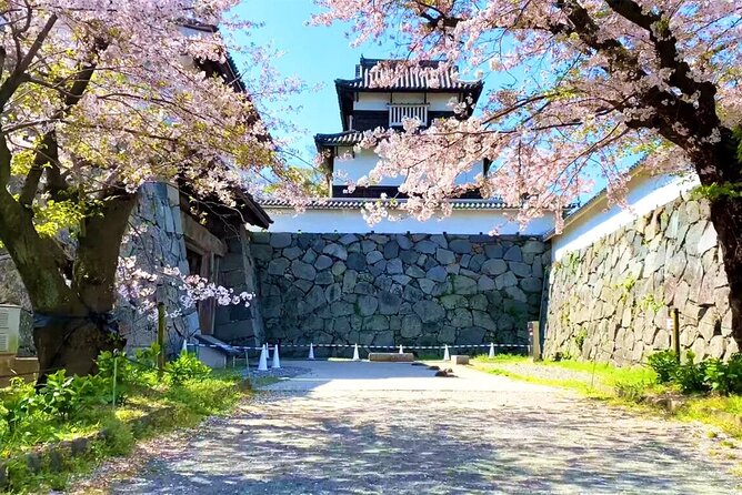From Fukuoka Kyushu Itoshima Hidden Gems Day Tour - Itoshima by the sea: quick coastal time and the coconut tree swing swap