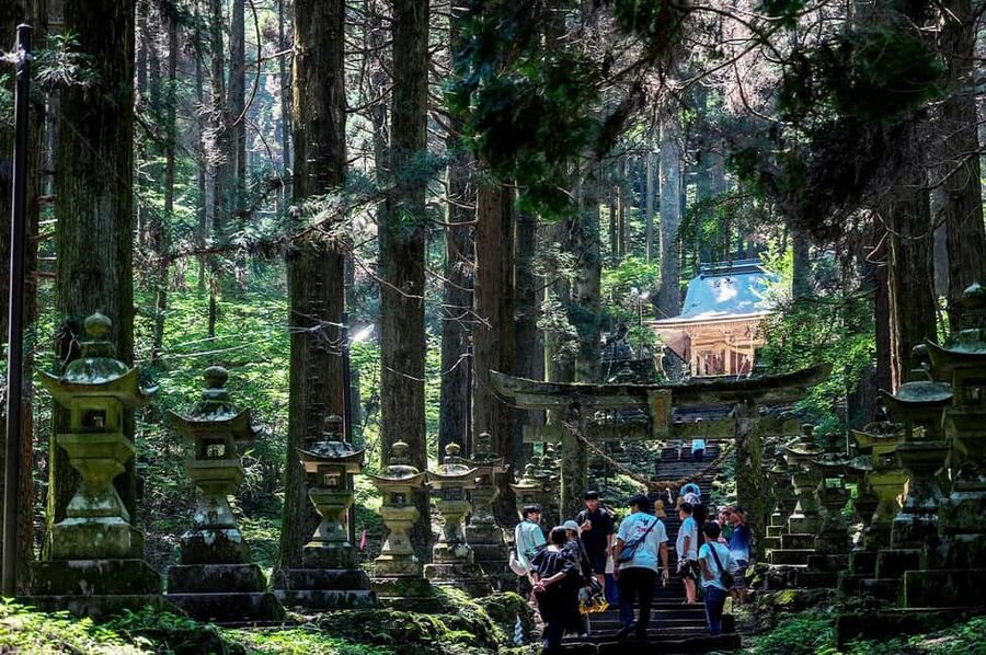 From Fukuoka: Miyazaki, Takachiho Gorge and Shrines Day Tour - Key highlights worth your attention