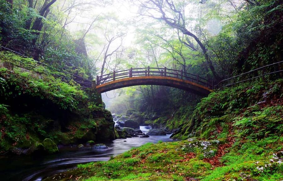 From Fukuoka: Miyazaki, Takachiho Gorge and Shrines Day Tour - Morning logistics at Lawson Fukuoka Oriental Hotel and a long bus day